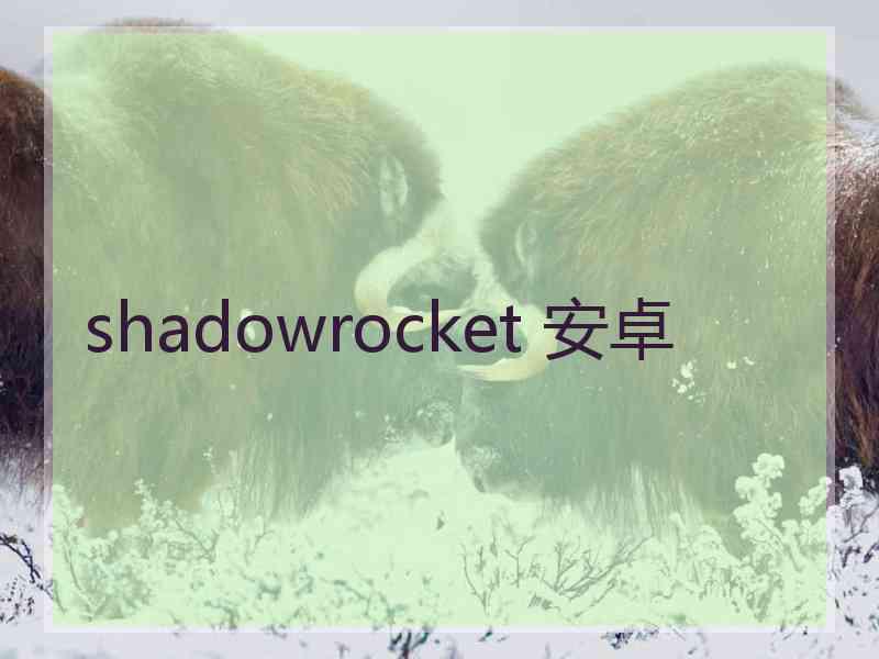 shadowrocket 安卓
