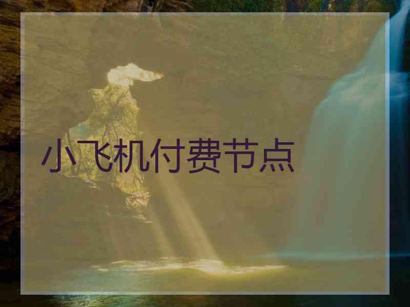 小飞机付费节点