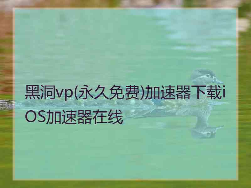 黑洞vp(永久免费)加速器下载iOS加速器在线