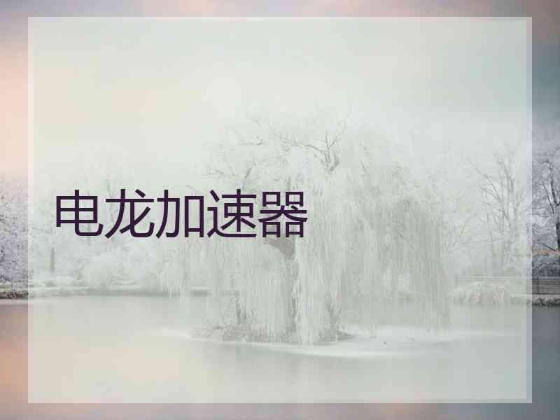 电龙加速器