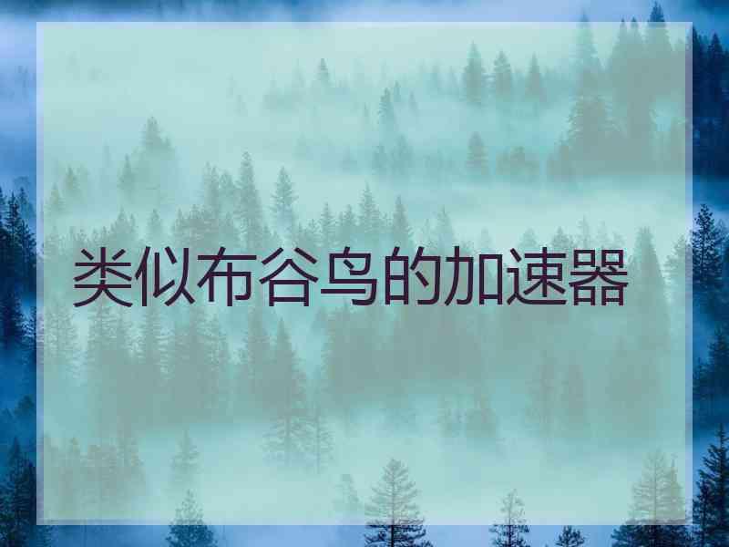 类似布谷鸟的加速器