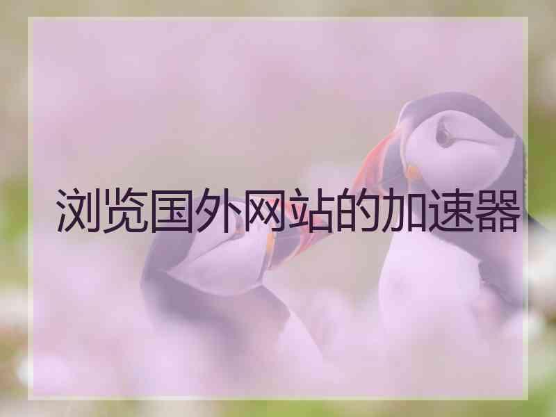 浏览国外网站的加速器