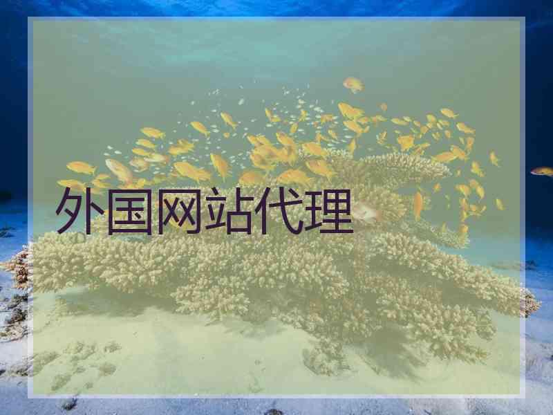 外国网站代理