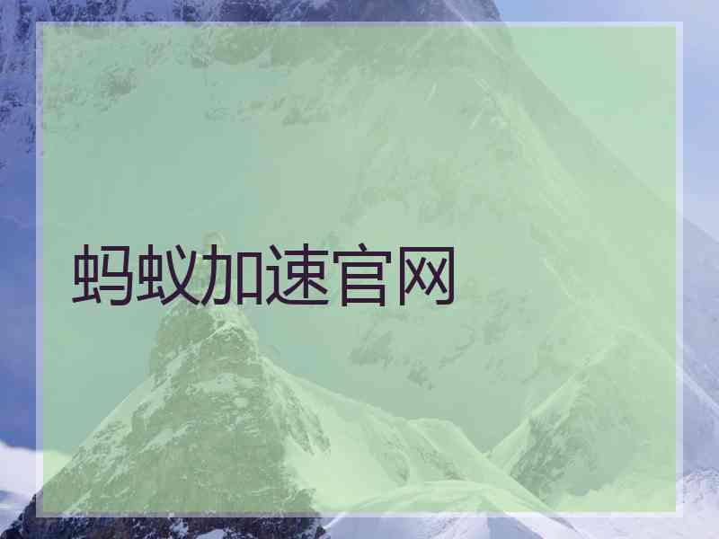 蚂蚁加速官网