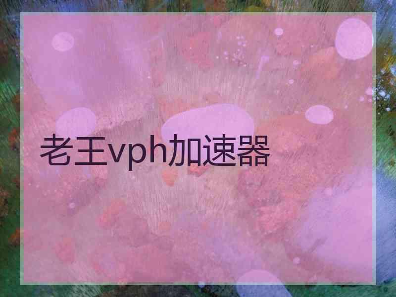 老王vph加速器