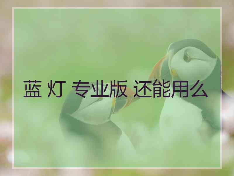 蓝 灯 专业版 还能用么
