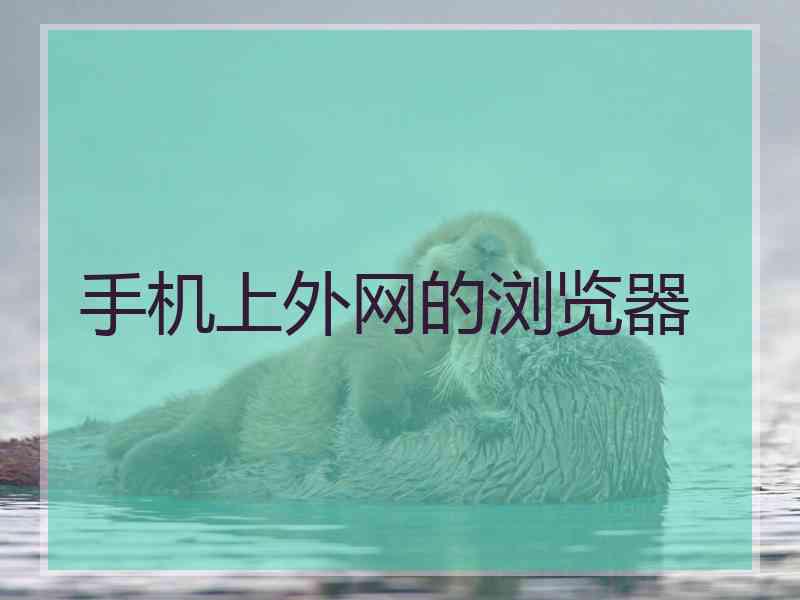 手机上外网的浏览器