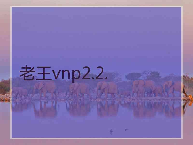 老王vnp2.2.