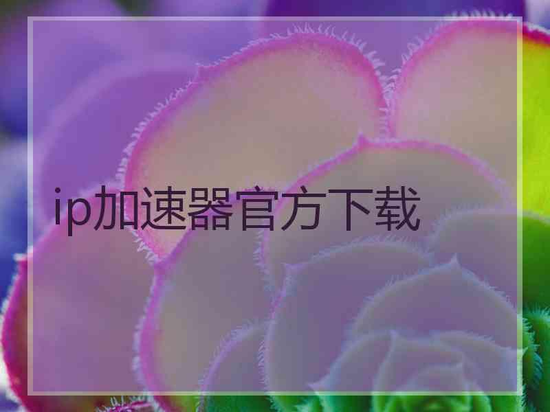 ip加速器官方下载