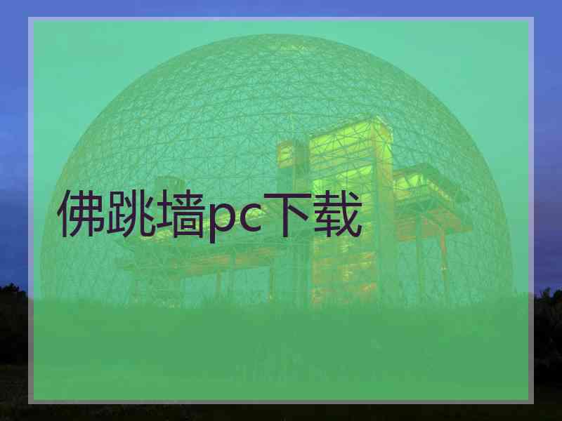 佛跳墙pc下载