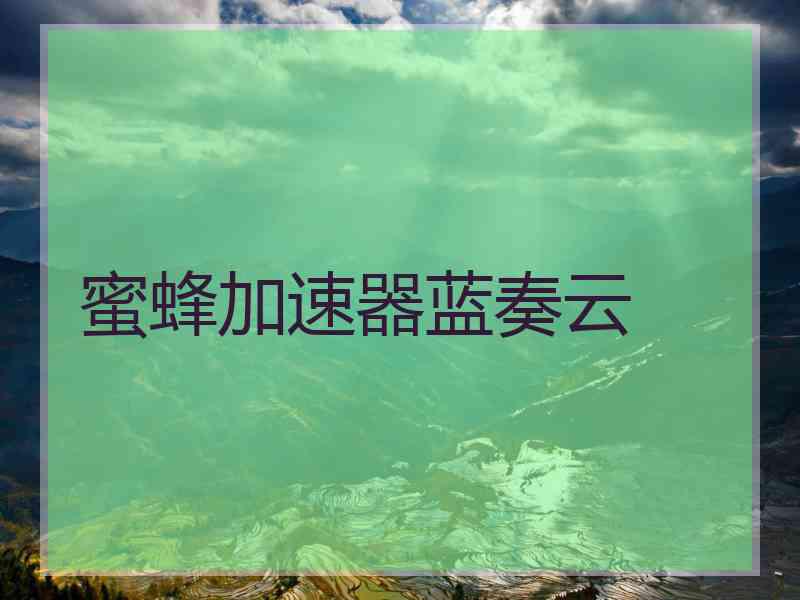 蜜蜂加速器蓝奏云