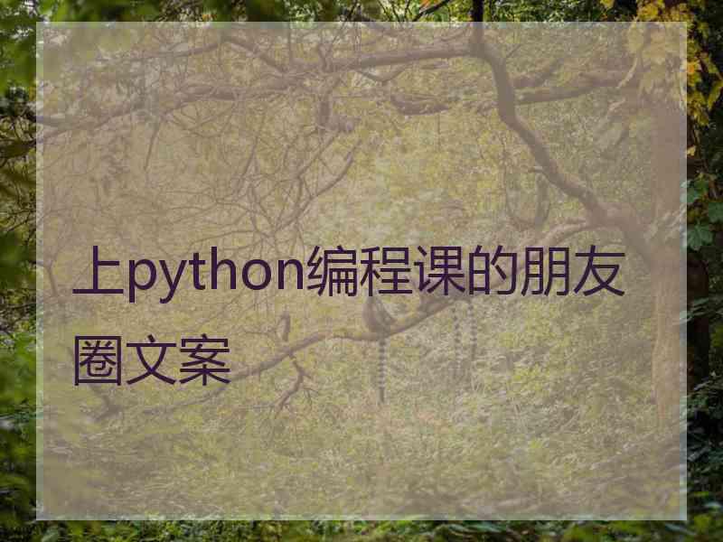 上python编程课的朋友圈文案
