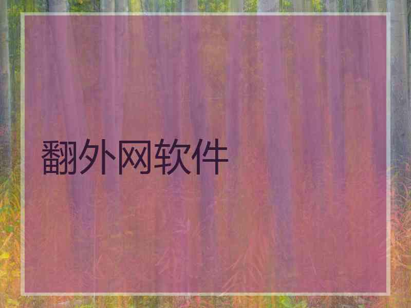 翻外网软件