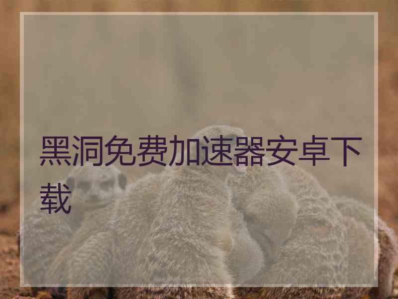 黑洞免费加速器安卓下载