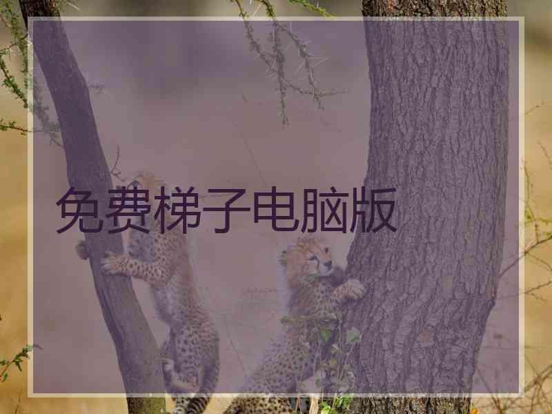 免费梯子电脑版