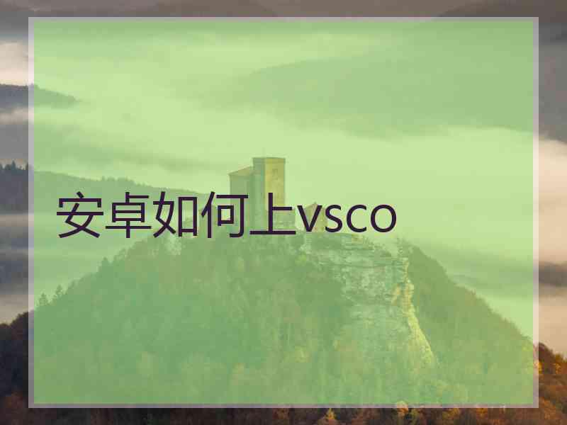 安卓如何上vsco