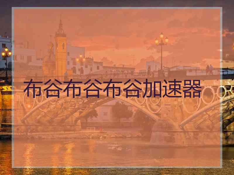 布谷布谷布谷加速器