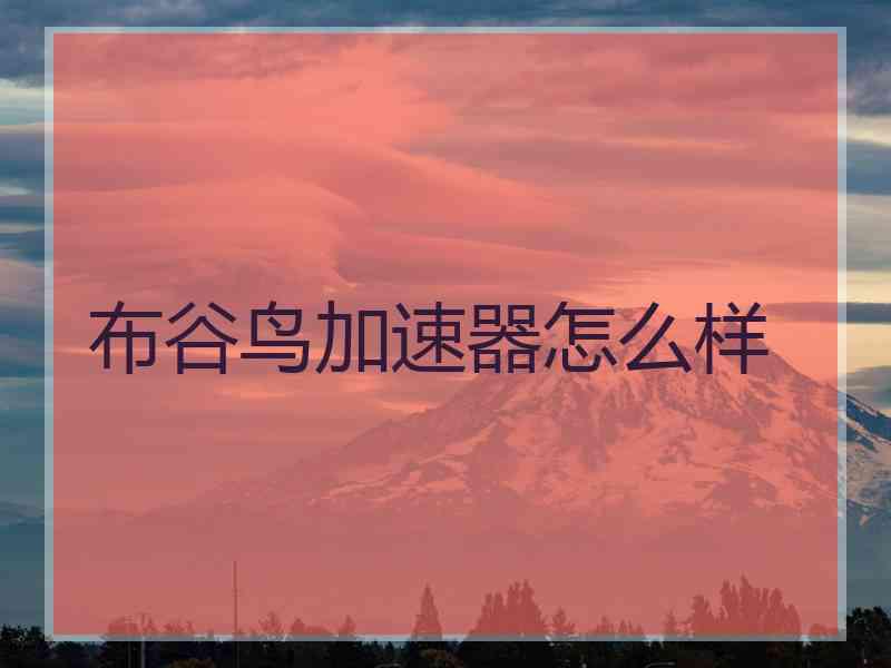 布谷鸟加速器怎么样