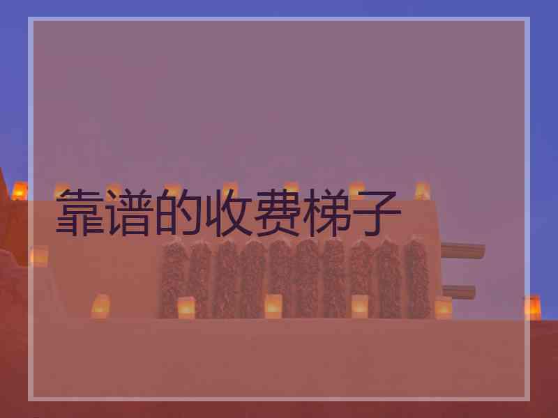 靠谱的收费梯子
