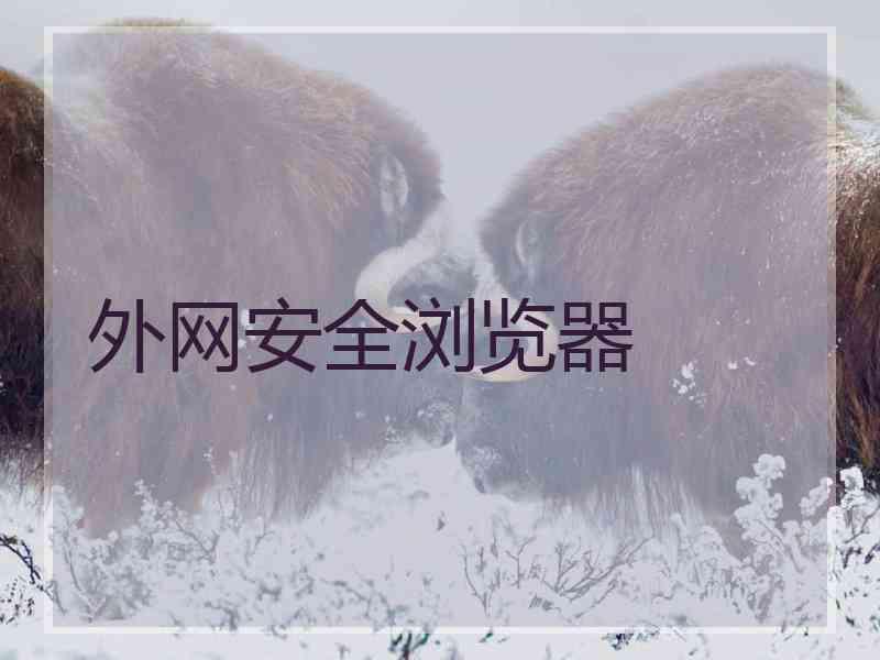 外网安全浏览器