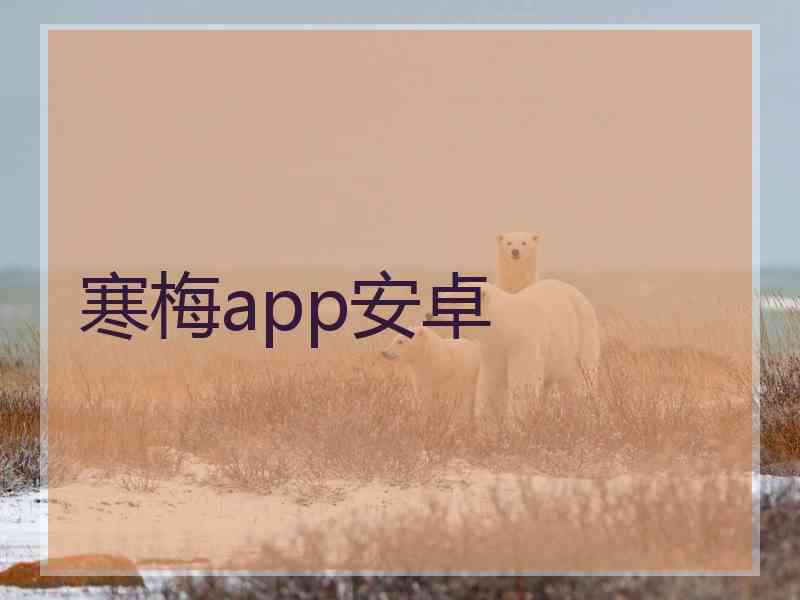 寒梅app安卓