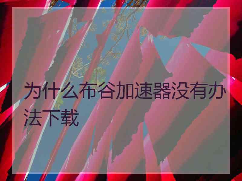 为什么布谷加速器没有办法下载