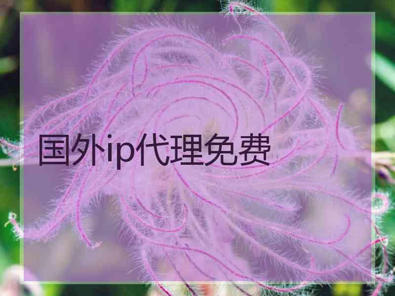 国外ip代理免费