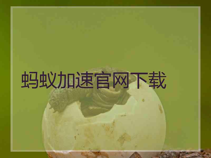 蚂蚁加速官网下载