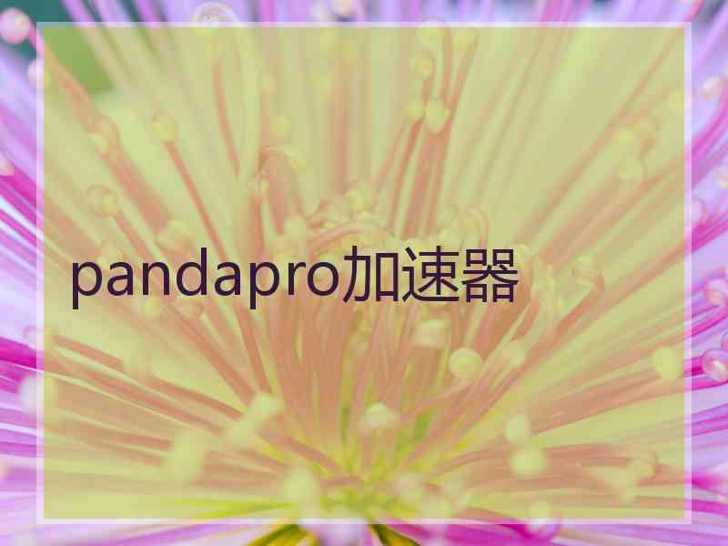 pandapro加速器