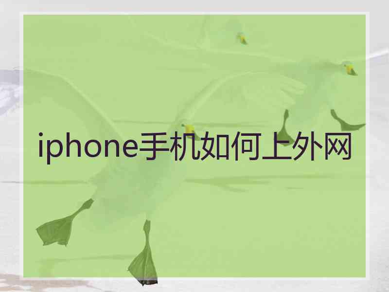 iphone手机如何上外网