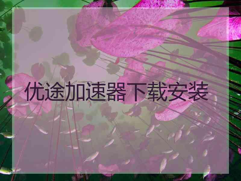 优途加速器下载安装