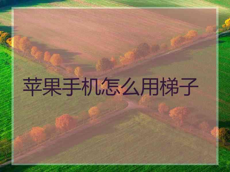 苹果手机怎么用梯子