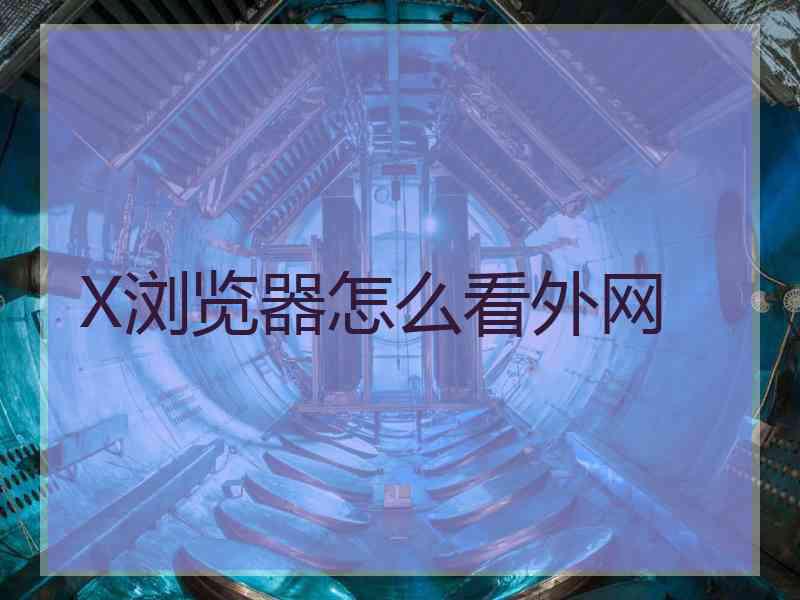 X浏览器怎么看外网