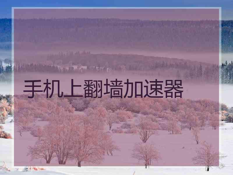 手机上翻墙加速器