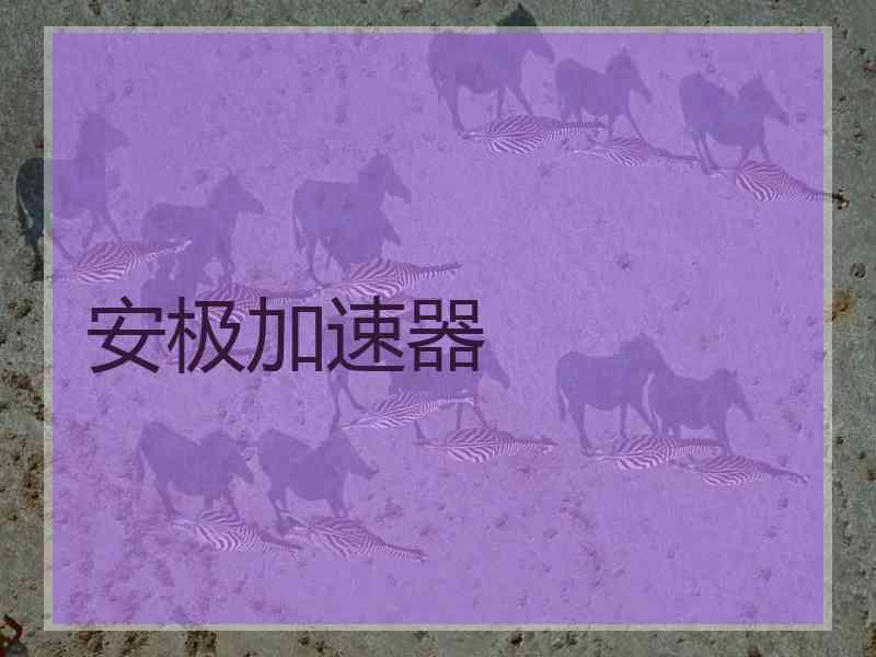 安极加速器