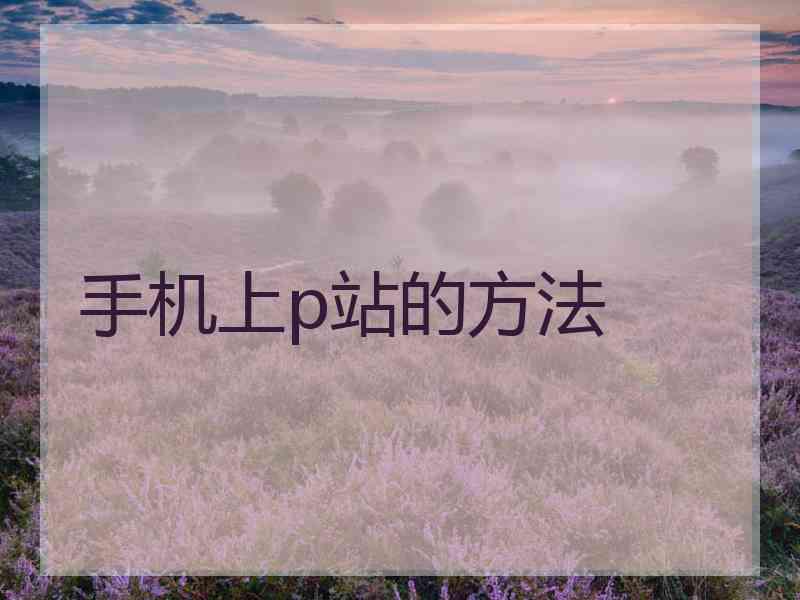 手机上p站的方法