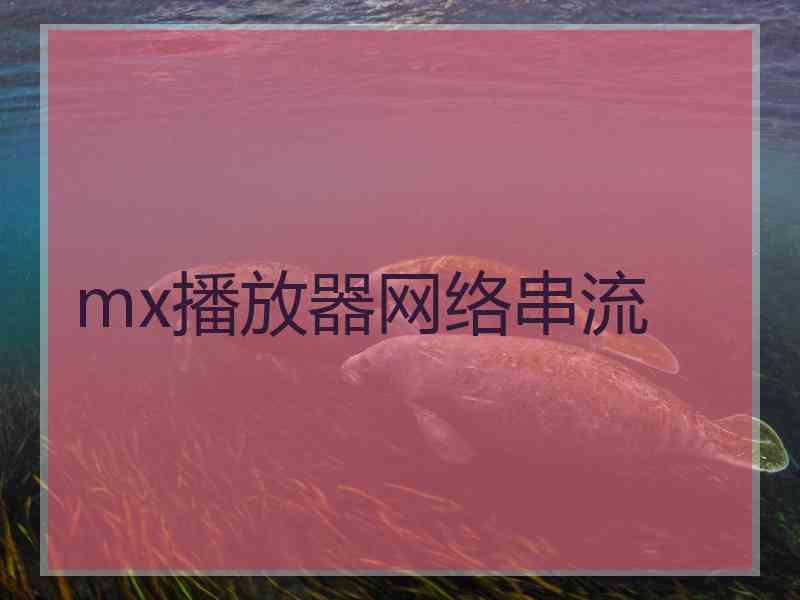 mx播放器网络串流