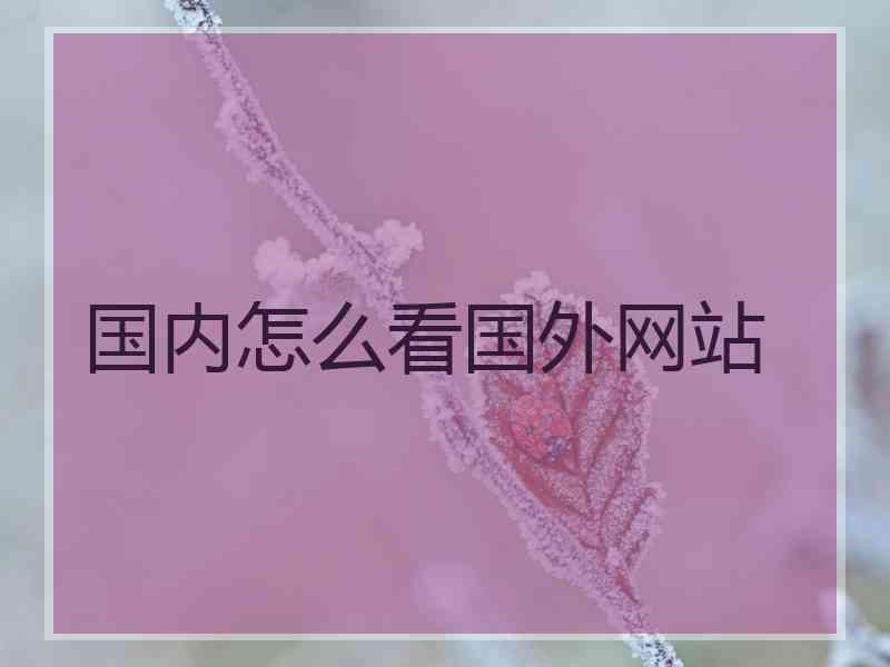 国内怎么看国外网站