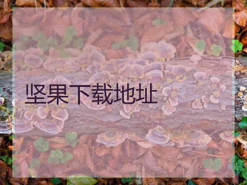 坚果下载地址