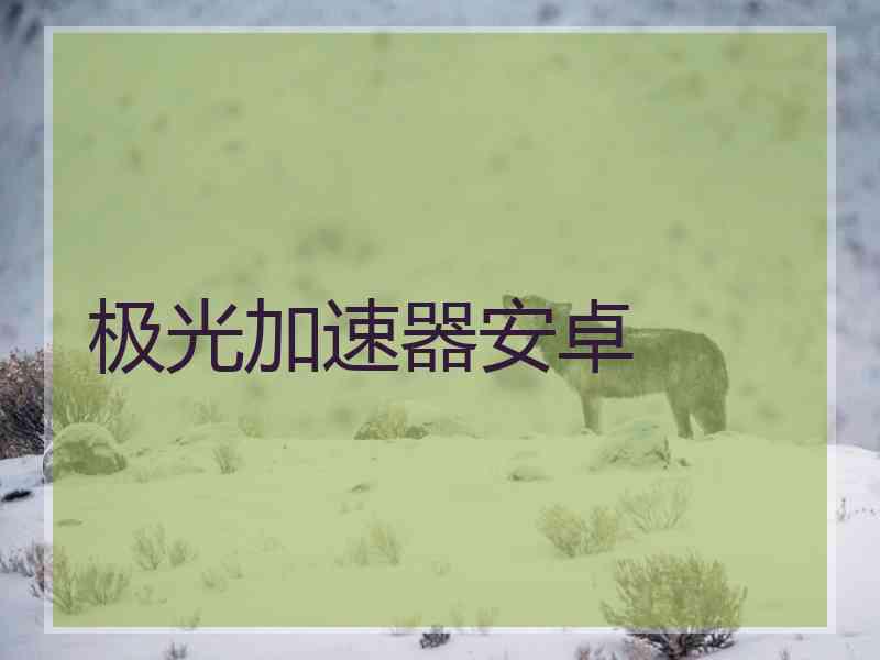 极光加速器安卓