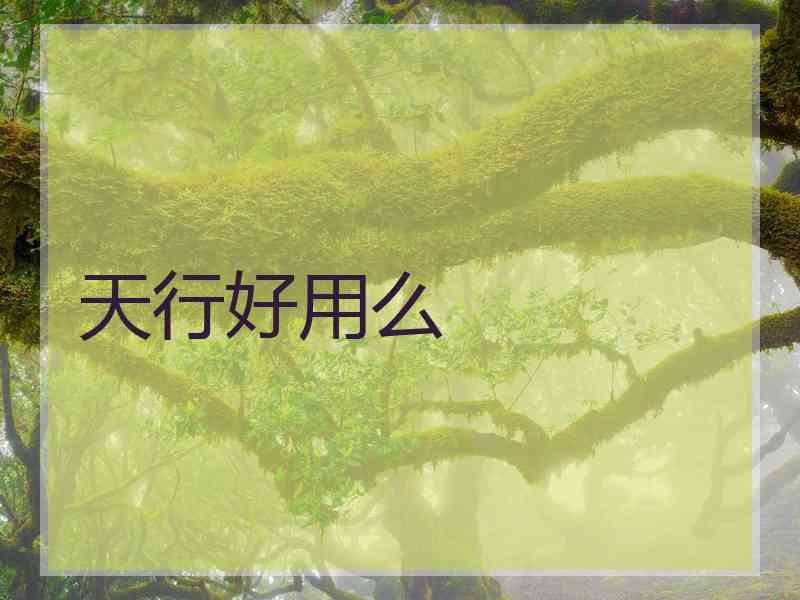 天行好用么