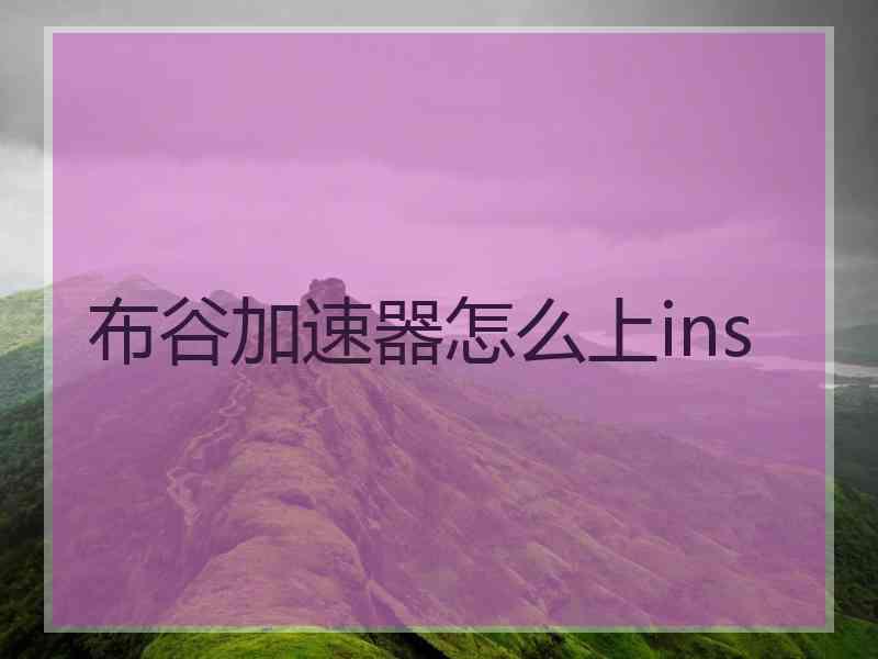 布谷加速器怎么上ins