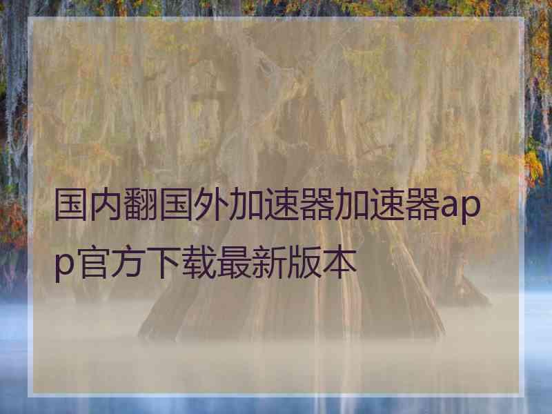国内翻国外加速器加速器app官方下载最新版本
