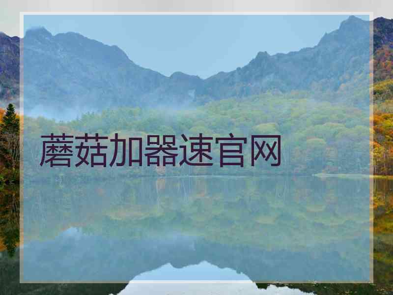 蘑菇加器速官网