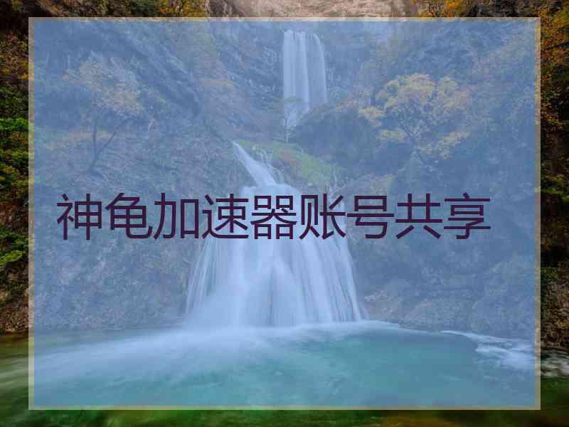 神龟加速器账号共享