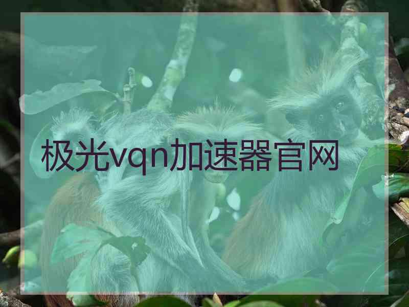 极光vqn加速器官网