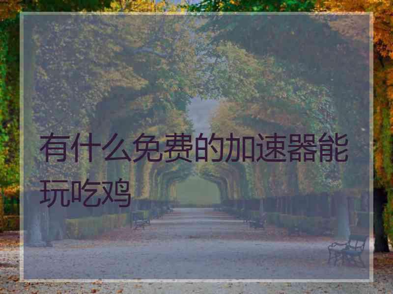 有什么免费的加速器能玩吃鸡