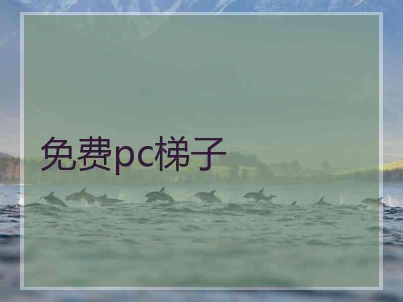 免费pc梯子