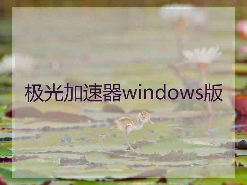 极光加速器windows版