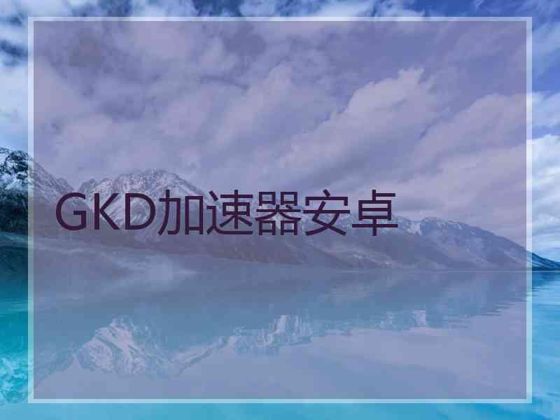 GKD加速器安卓